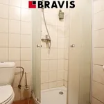 Rent 1 bedroom apartment of 45 m² in Brno