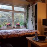 Rent 1 bedroom apartment of 14 m² in Arnhem