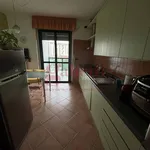 Rent 4 bedroom apartment of 95 m² in Turin