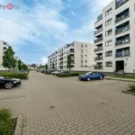 Rent 2 bedroom apartment of 45 m² in Praha