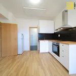 Pronajměte si 1 ložnic/e byt o rozloze 36 m² v Pilsen