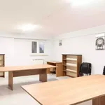 Rent 4 bedroom apartment in Rome