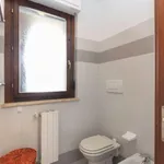 Rent 1 bedroom apartment in Turin