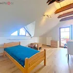 Rent 2 bedroom apartment of 50 m² in Trhový Štěpánov