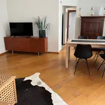 Rent 1 bedroom apartment of 70 m² in Maastricht