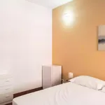 Rent 5 bedroom apartment in Rome