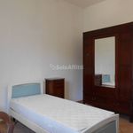 Affitto 4 camera appartamento di 90 m² in Pisa