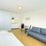 Rent 1 bedroom apartment of 30 m² in Zürich