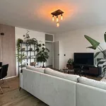 Rent 4 bedroom apartment of 90 m² in Zwolle