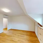 Rent 1 bedroom house of 210 m² in Brno