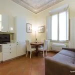 Rent 1 bedroom apartment of 45 m² in Florence