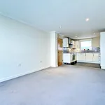 Rent 1 bedroom flat in Brighton