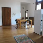 Rent 1 bedroom apartment of 50 m² in Treviso