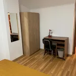 Rent 4 bedroom apartment in Covilha