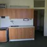 Rent 1 bedroom apartment of 21 m² in Kadaň