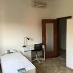 Rent a room in Bologna