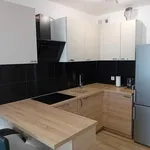 Rent 2 bedroom apartment of 45 m² in szczecin