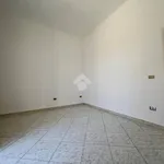 Rent 4 bedroom apartment of 106 m² in Mugnano di Napoli