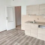 Rent 1 bedroom apartment in Teplice