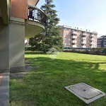 Rent 3 bedroom apartment of 150 m² in Rome