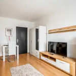 Rent 1 bedroom apartment of 37 m² in Nürnberg