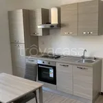 Rent 2 bedroom apartment of 45 m² in Torino