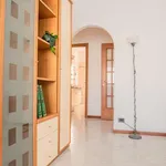 Rent 1 bedroom apartment of 80 m² in milan