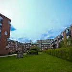 Rent 2 bedroom apartment of 89 m² in Hamburg