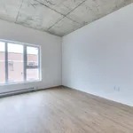  appartement avec 1 chambre(s) en location à Montreal