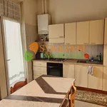 Rent 2 bedroom apartment of 50 m² in Campobasso