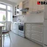 Rent 1 bedroom apartment of 15 m² in Brno