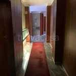 Rent 1 bedroom apartment of 20 m² in Torino