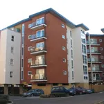 Rent 1 bedroom apartment in East Of England