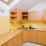 Rent 1 bedroom apartment in Prague