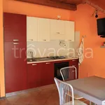 Rent 2 bedroom apartment of 50 m² in Pratolungo