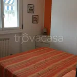 Rent 3 bedroom apartment of 70 m² in Viareggio