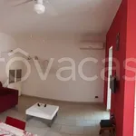 Rent 2 bedroom apartment of 50 m² in Belvedere Marittimo