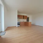 Rent 1 bedroom apartment in Beroun