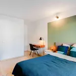 Rent a room of 151 m² in cologne