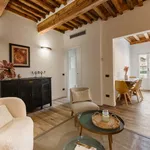 Rent 3 bedroom apartment of 70 m² in Florence