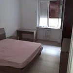 Rent 2 bedroom apartment of 80 m² in milano