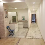 Rent 2 bedroom apartment of 90 m² in Venezia