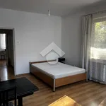 Rent 1 bedroom apartment of 40 m² in Krakow