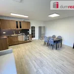 Rent 2 bedroom apartment of 57 m² in Capital City of Prague