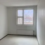 Vuokraa 3 makuuhuoneen asunto, 81 m² paikassa Helsinki