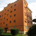 Rent 2 bedroom apartment of 56 m² in Roma