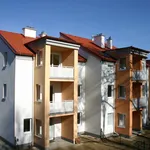 Rent 2 bedroom apartment of 58 m² in Stegersbach