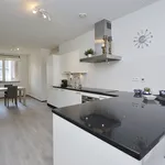 Rent 4 bedroom apartment of 116 m² in Pijnacker