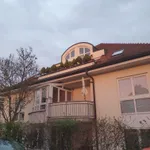 Rent 2 bedroom apartment of 50 m² in Leipzig