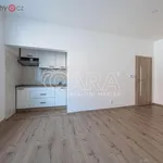 Pronajměte si 2 ložnic/e byt o rozloze 58 m² v Praha